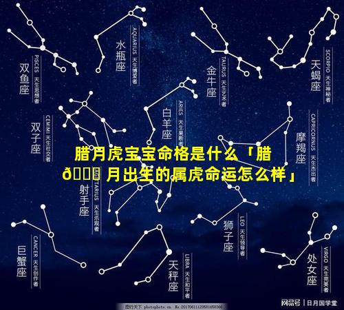 腊月虎宝宝命格是什么「腊 🐅 月出生的属虎命运怎么样」
